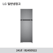 [LG전자] 일반냉장고 241리터 B245DS22
